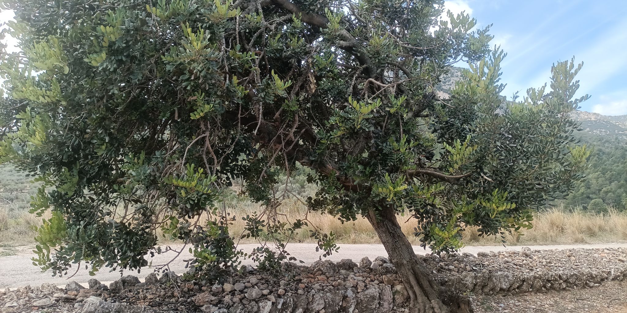 IMG 20240425 131327 890